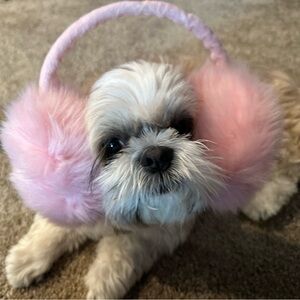 Meet your Posher, Connie